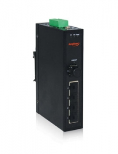 0205142001251802622__Amplicon