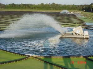 AIRMASTER_AERATOR__N-R_Photo_