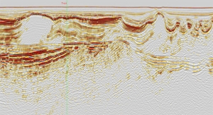 DEC-08-PIC-TUPI-REVERSE-TIME-MIGRATION