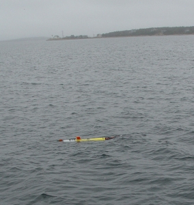 Remus100_inwater
