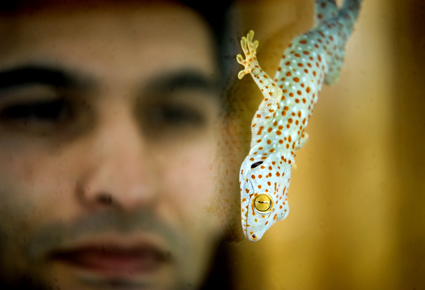 Noshir Pesika has created micro-scaled polyurethane structures that mimic the way that a gecko’s foot sticks to surfaces