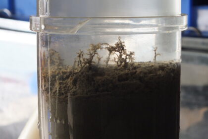Multiple Corer NIO (5)