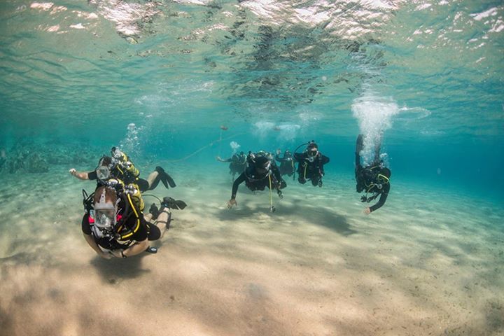 Sentinel detects, tracks and classifies underwater intruders from 1 km away in a 360˚arc