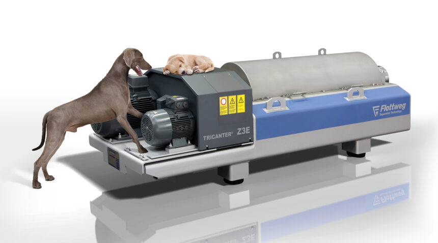 Z3E_mit Hunden