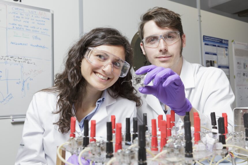 28952 urine fuel cell 293