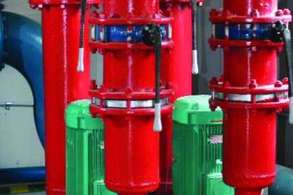 A standard duty and standby pump configuration