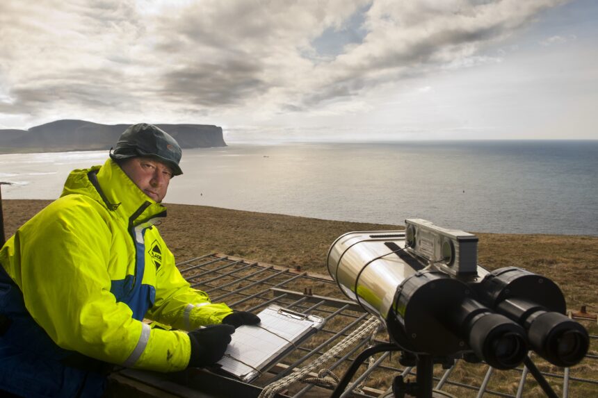 Wildlife observations at EMEC test site (Credit Mike Brookes-Roper, courtesy of EMEC)