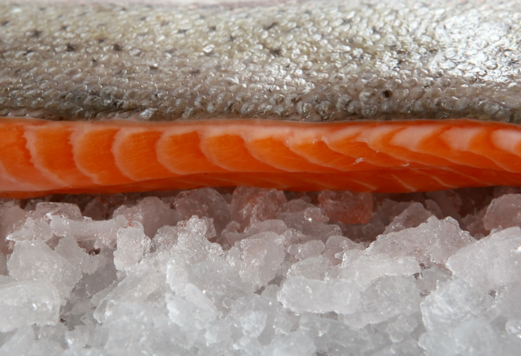 fish frozen