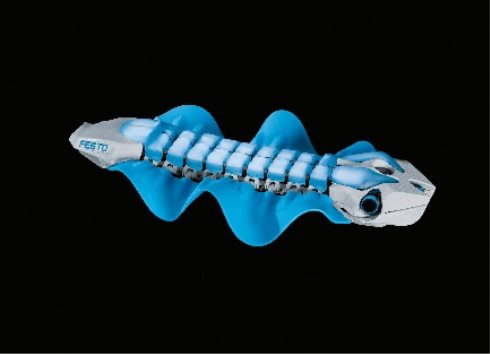 fishrobot