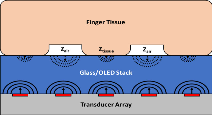 An ultrasonic fingerprint sensor images the ridges of a finger using acoustic waves