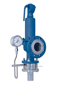 Rupture disc KUB installed downstream from the safety valve