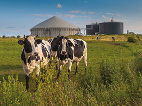 Vaisala aims to improve biogas production efficiencies