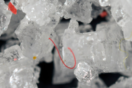 Plastic fragments found in table salt