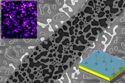 Suspended 2D crystals over gold allow scientists to connect quantum light sources (inset images) in a ready-made network (Image: Jeremy Robinson/US Naval Research Laboratory)