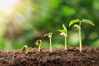 Tech can boost agricultural production