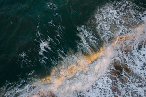 In addition to studying ocean life aerially, a drone has been modified to collect the exhaled mucus from whales