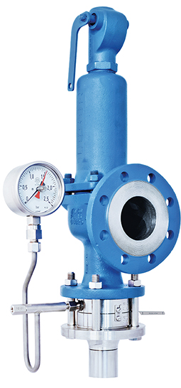 Ideal combination - safety valve and rupture disc