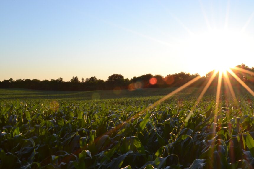 farming image