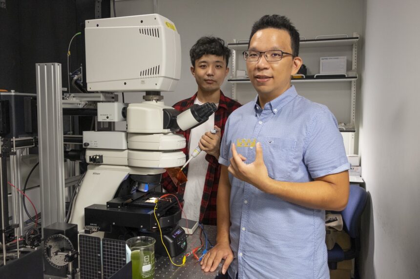 PhD student Yuan Zhiyi and Assistant Professor Chen Yu-Cheng analyse the amount of electrical energy generated by coating tiny micro-droplets with algae protein