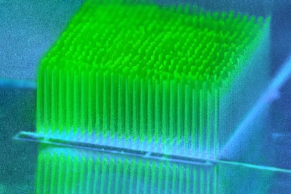 The tower is 600 µm tall (Image: Gabriella Bocchetti)