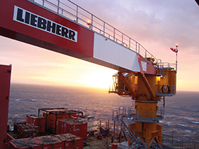 The compact cranes can operate in confined spaces