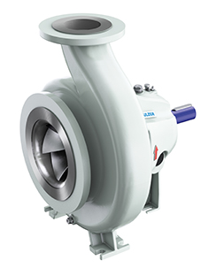 SNS process pump