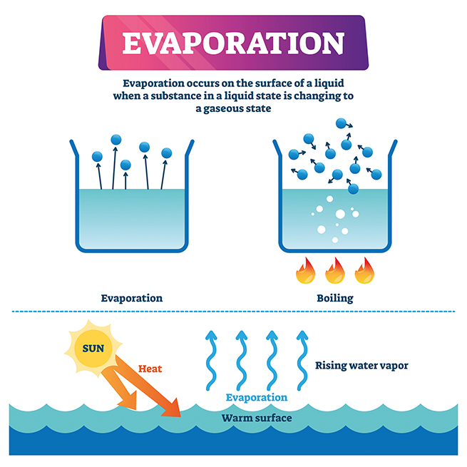 Evaporation occurs on the surface of a liquid when a substance in a liquid state is changing to a gaseous state