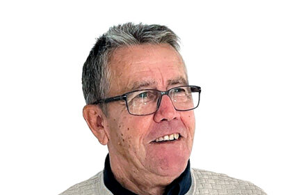 Author Leslie David