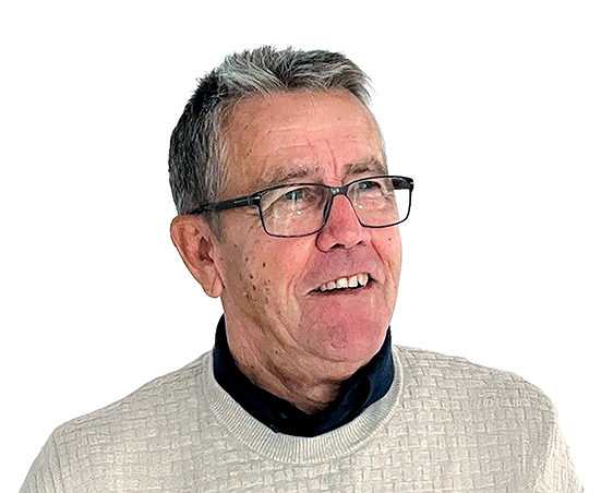 Author Leslie David
