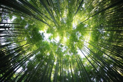 Image via kazuend on Unsplash